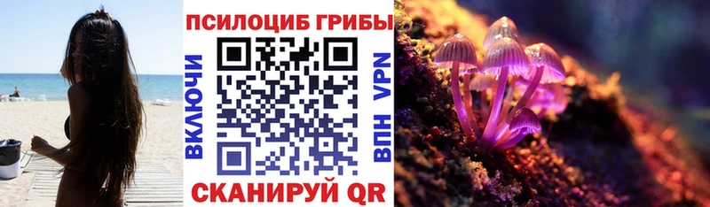 Галлюциногенные грибы MAGIC MUSHROOMS  купить наркотики сайты  Магадан 